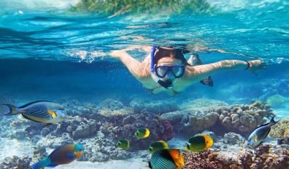 Snorkeling Nusa Penida – Manta, Gamat, Crystal Bay & Toyapakeh