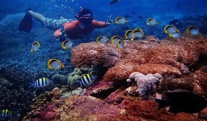 Snorkeling Nusa Penida – Manta, Gamat, Crystal Bay & Toyapakeh