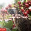 Exploring the Best of Ubud: Rafting, Coffee Plantation Tours, and ATV Adventures